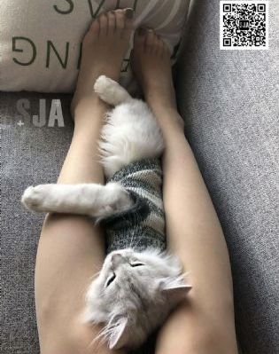 欧美男健身图片唯美_剧情片在线播放观看