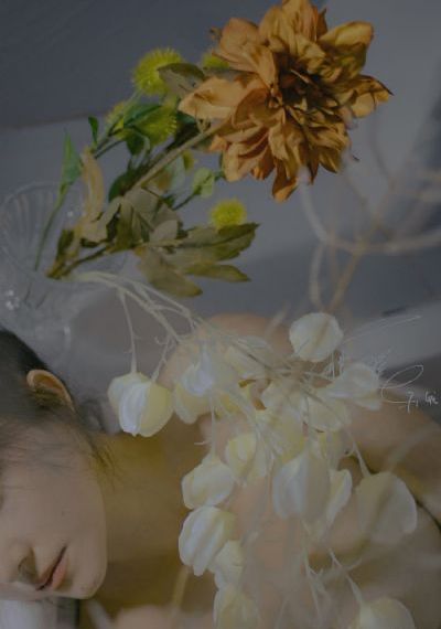 女人与公驹交酡a片_DVD全集免费播放